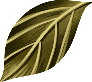 leaf